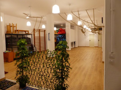 Centro de yoga, Yoga Iyengar Valencia Abdón Nacarino-Valencia