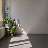 IOGA-BCN - Centre de Ioga Iyengar de l&apos-Barcelona