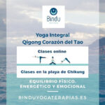 Bindu Centro de Yoga y Técnicas Naturales-Málaga